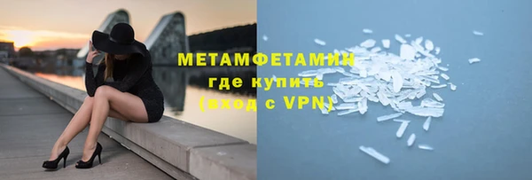 прущие грибы Заводоуковск